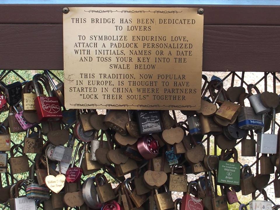 13912510_10210190201178352_467848970915089957_n