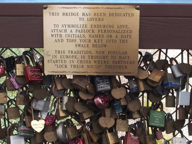 13912510_10210190201178352_467848970915089957_n