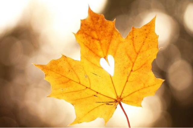 blogger-image--747211023